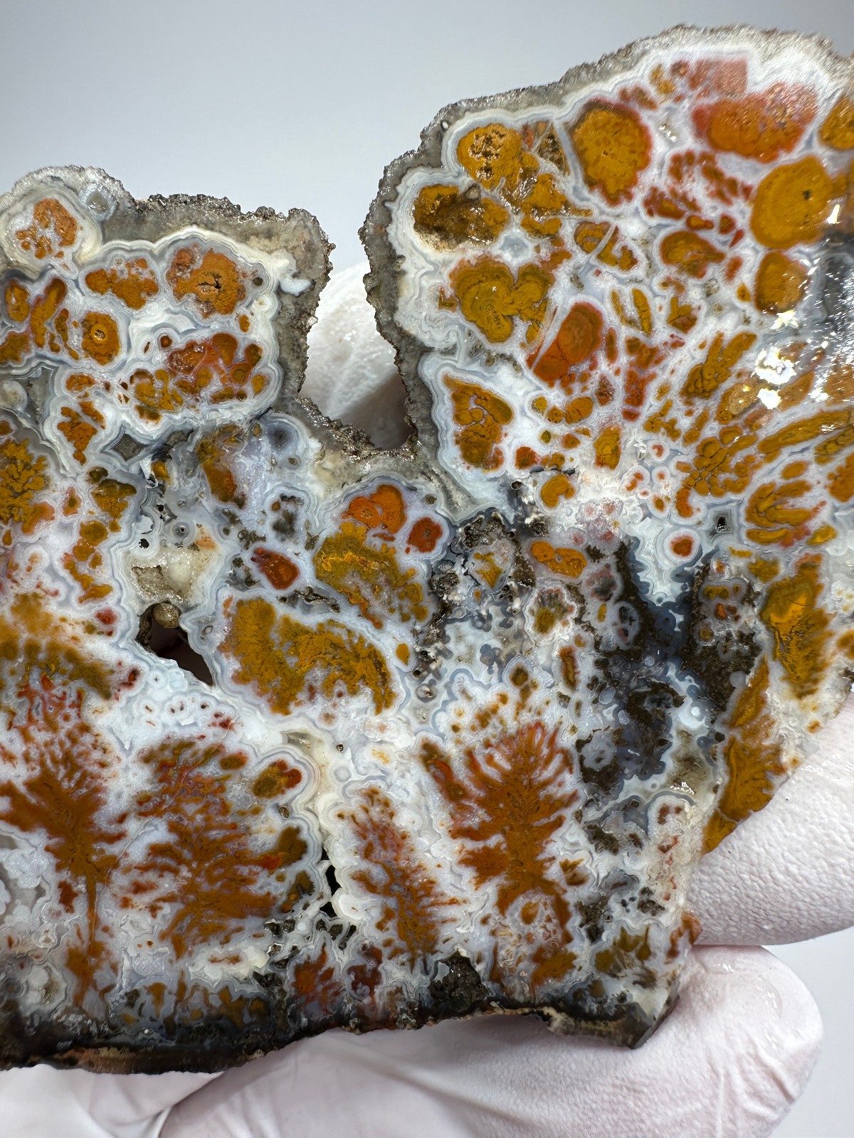 RARE Wingate Pass Plume Agate End-Cut Slab (a.k.a. Death Valley Plume)