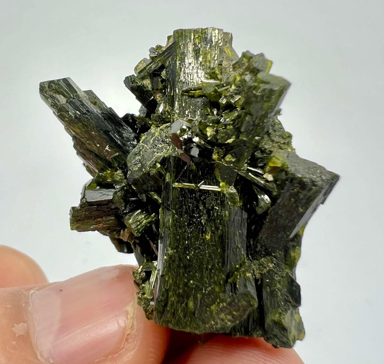 123 CT Amazing! Epidote Crystals Bunch Specimen From Skardu Pakistan s42