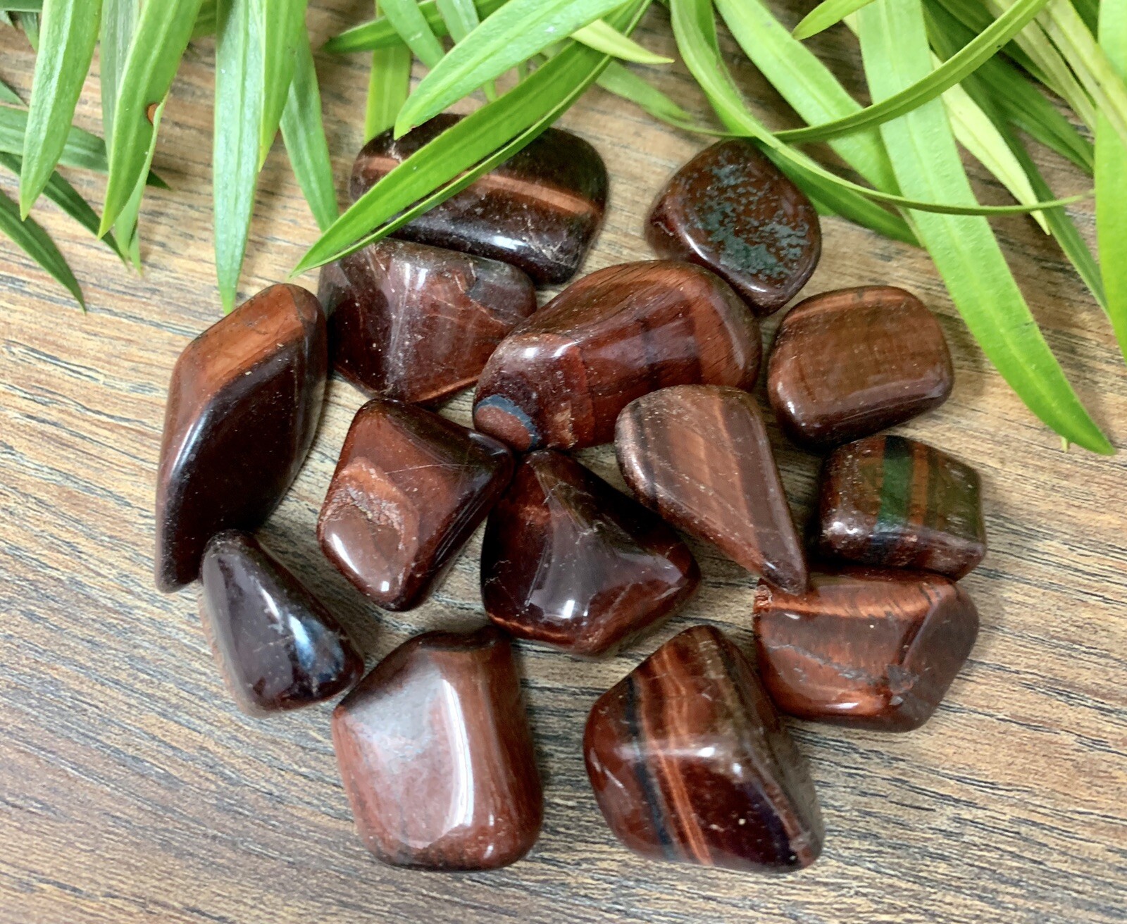 1/2 lb Red Tiger Iron Tumbled Stones Crystal Therapy Gemstone Specimen Reiki.