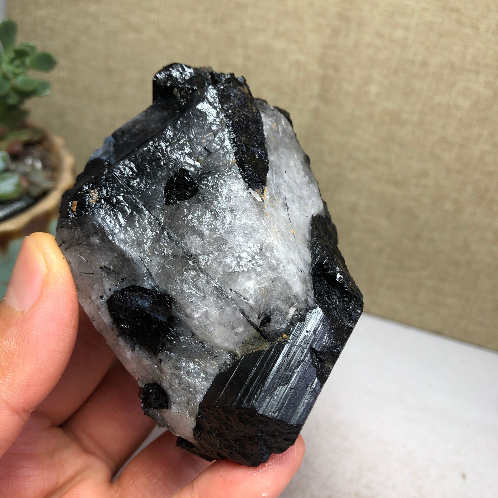 252g Natural tourmaline Crystal paragenesis gemstone original Specimen A4822