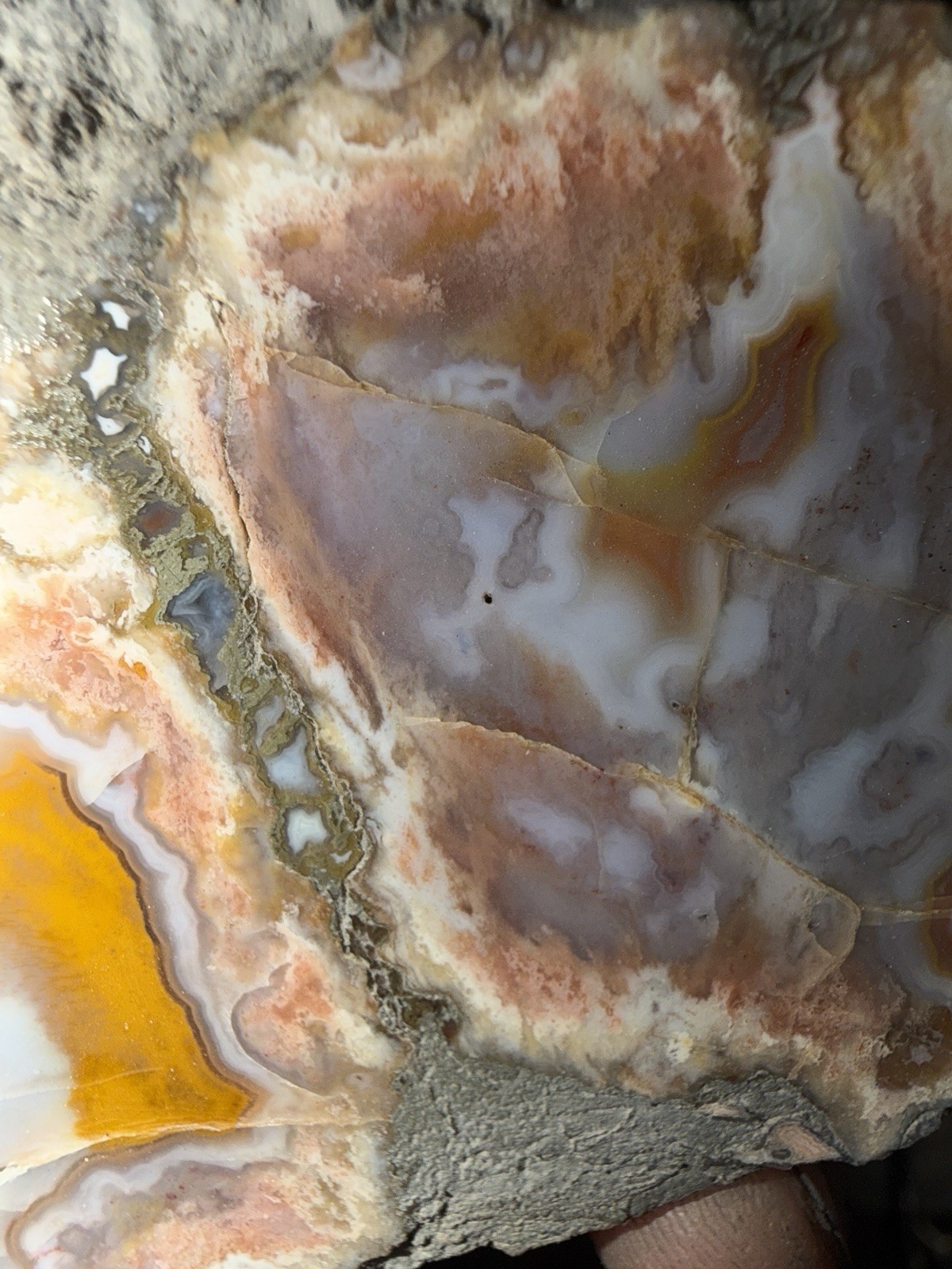5 Mirror Polished Kentucky Agate Specimens. Nice Variety Fortifications Banding