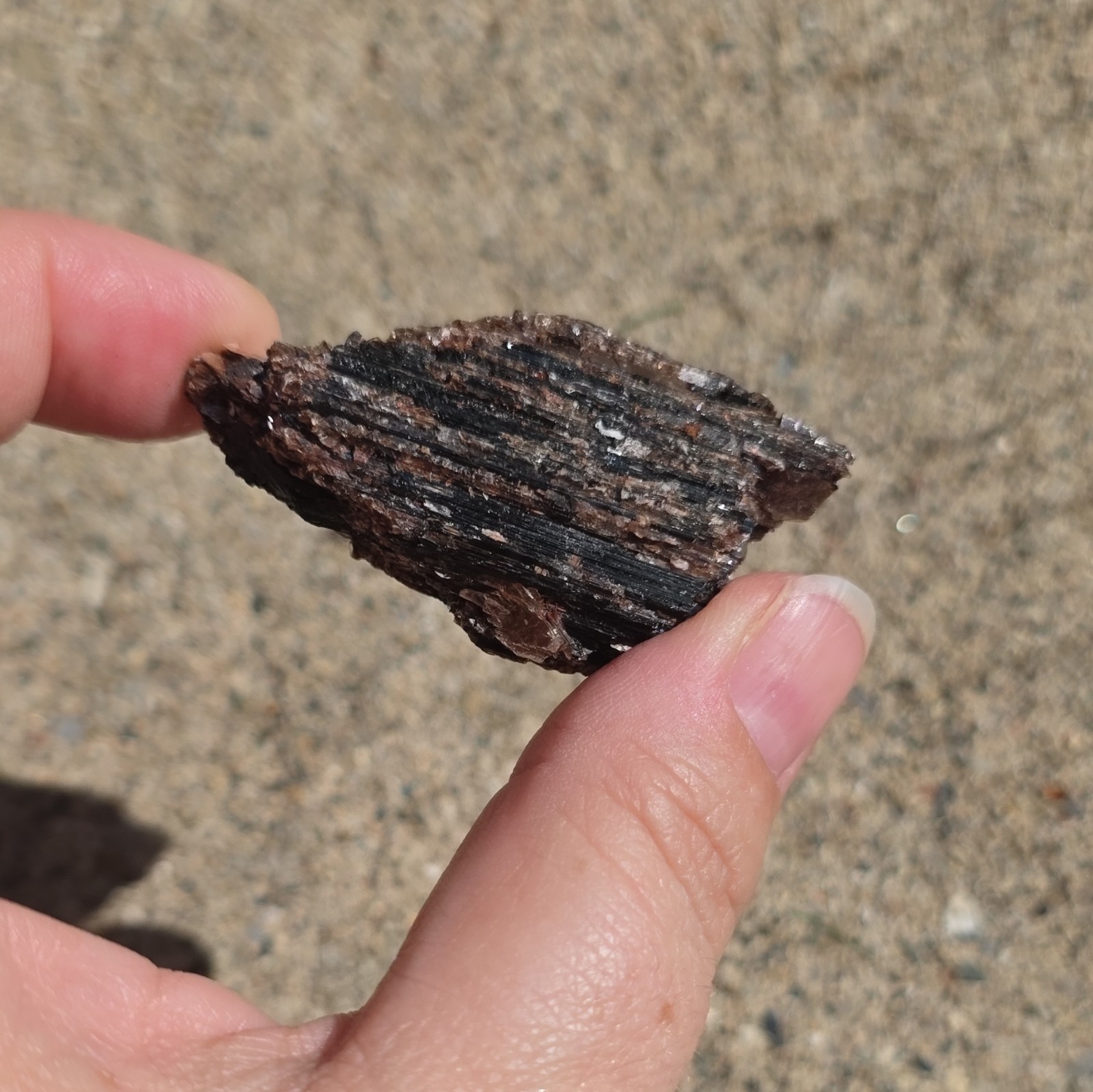 Rough Dark Brown/Black Bladed Tourmaline