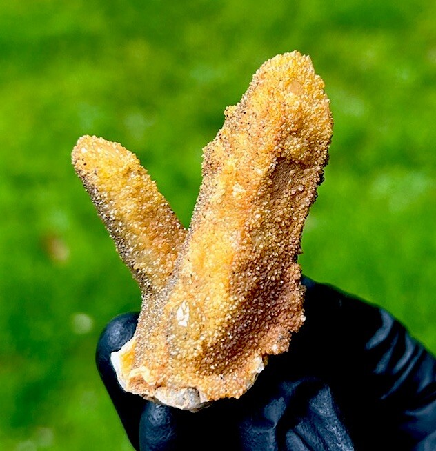Dark GOLDEN HEALER SPIRIT QUARTZ Fairy Crystal Cluster – Boekenhouthoek, RSA