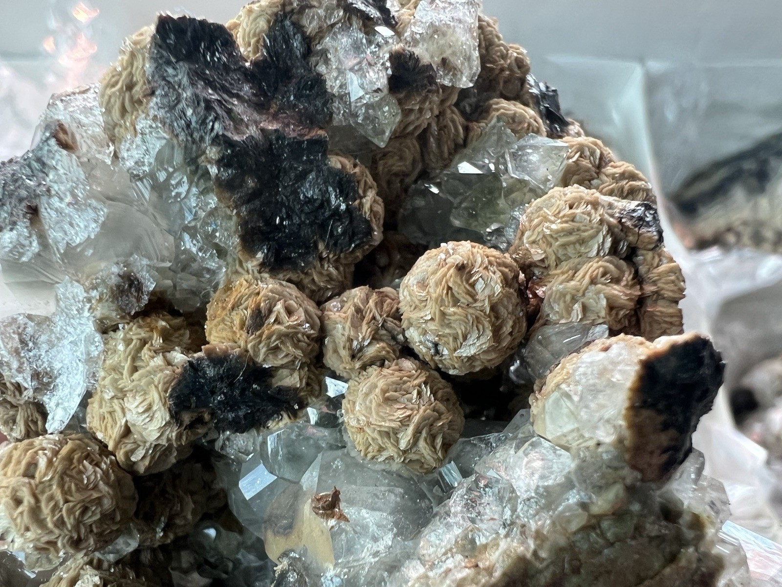 12 Quartz & Siderite Specimens – Potosí Mine, Santa Eulalia, Chihuahua, Mexico