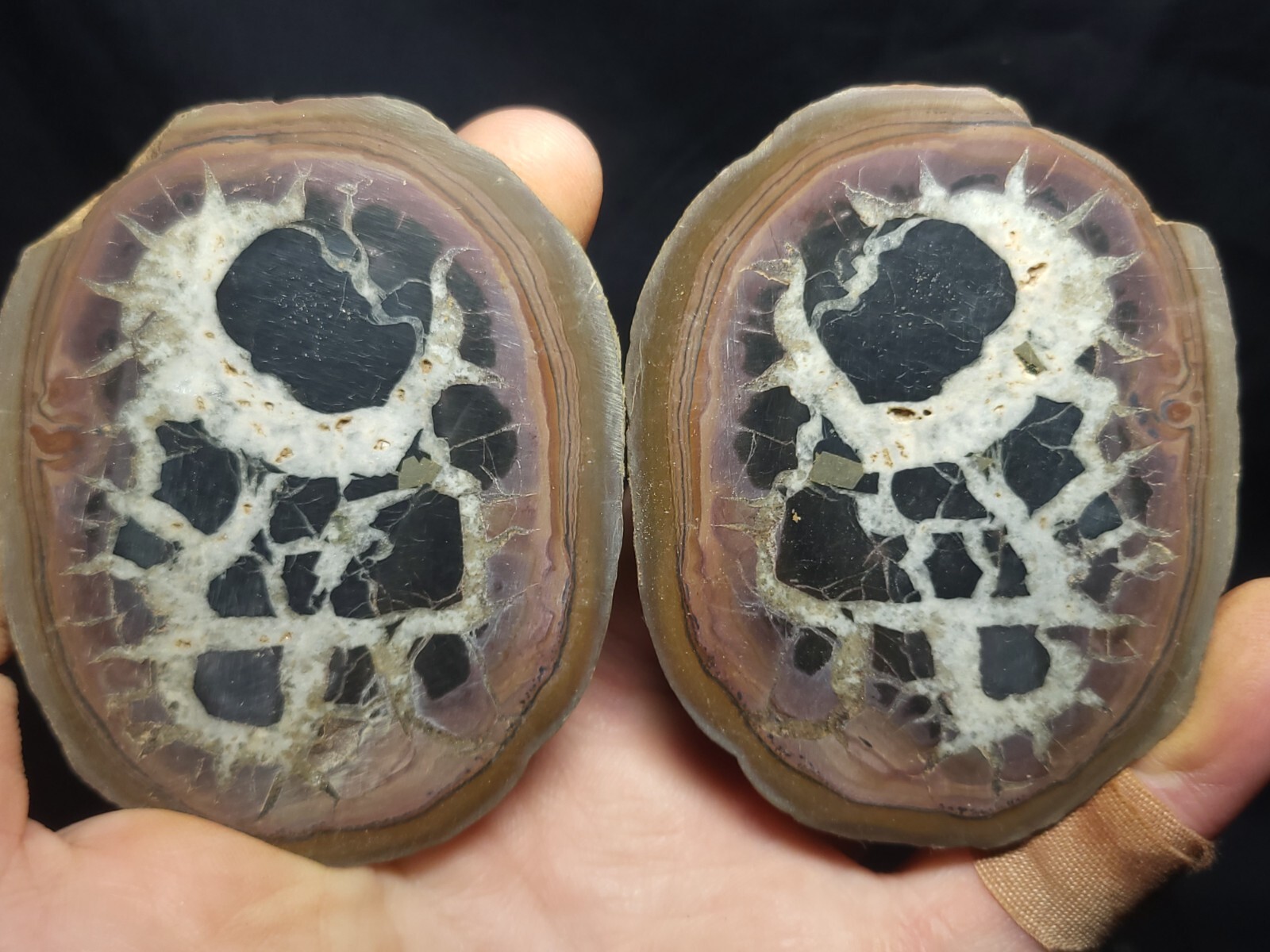 Septarian Nodule pair from Morocco 3″x2.5″ (10.3 oz.)