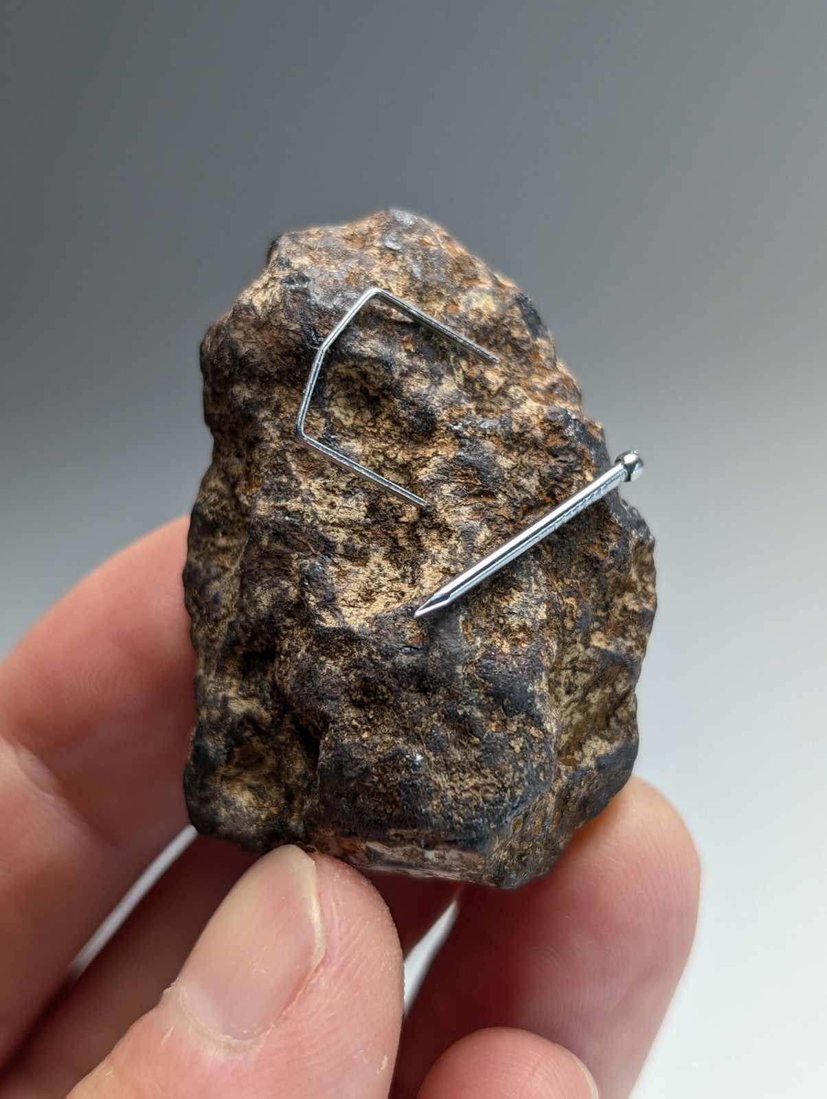 Magnetite (lodestone), Magnet Cove, Hot Spring County, Arkansas, Natural Magnet!