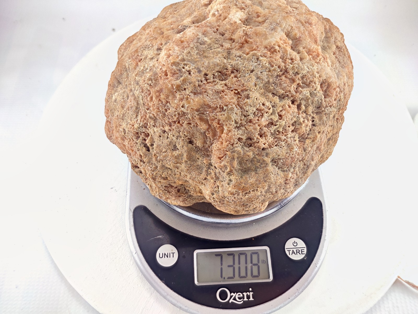 7.5″ Unopened Geode Nodule Whole Natural Large Quartz Crystal 7.3 LB Kentucky