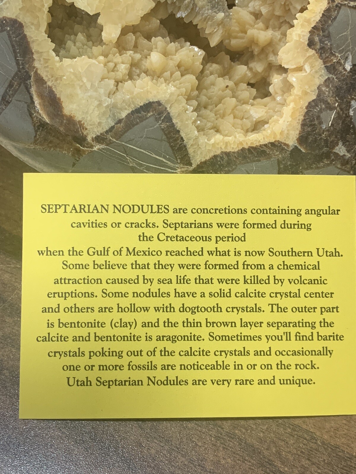 Septarian Nodule Hollow Half ( Utah)fossils And Description Card