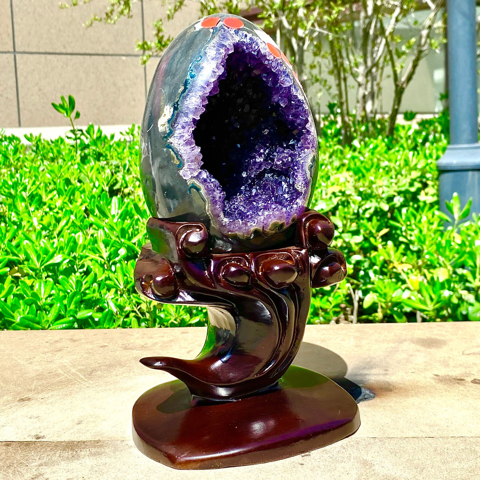 4.99LB Rare Uruguayan amethyst dragon egg cave decoration+base