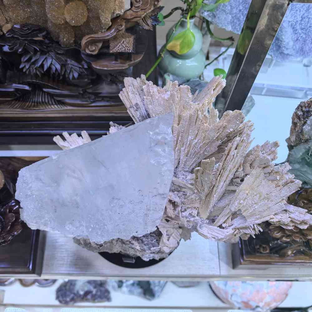 17LB Rare Natural Clear Selenite Gypsum Crystal Symbiosis Mineral Specimen