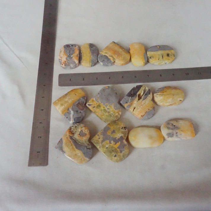 2.2LB 13Pcs Natural Bumble Bee Jasper Quartz Crystal Heart Palm Stone Healing