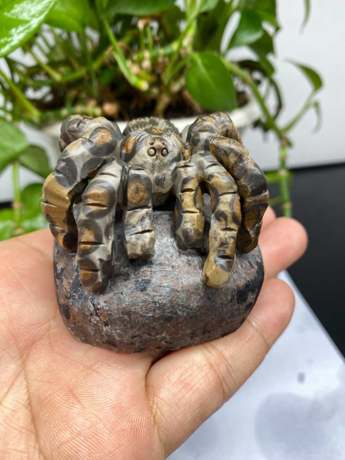 1pc Natural Moneystone Quartz Carved spider skull Crystal reiki healing Decor
