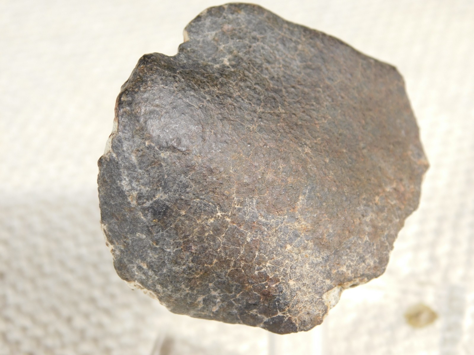 Stony METEORITE with DARK Fusion Crust and Contraction CRACKS 70.2gr