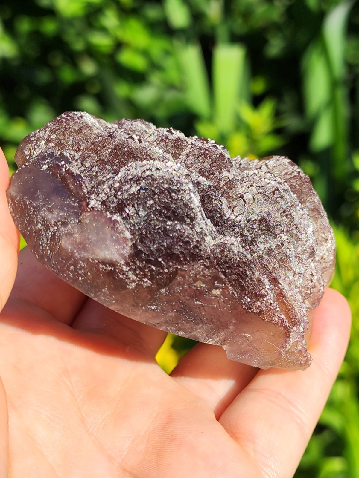 ✨️Terraced tricolor fluorite with chevron zoning Qinglong Mine, China✨️
