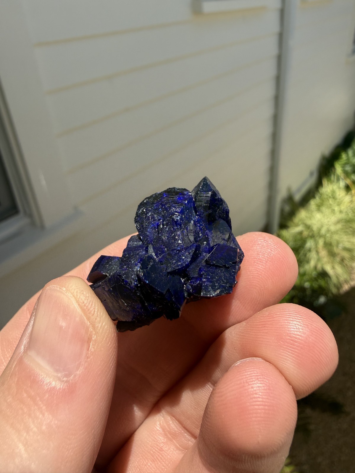Azurite on matrix from Milpillas Mine, Mexico