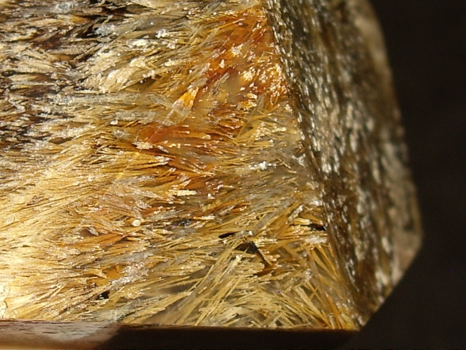 Fantastic Sagenite Agate Polished Freeform w/ Unknown Fibrous Inclusions 144.6g