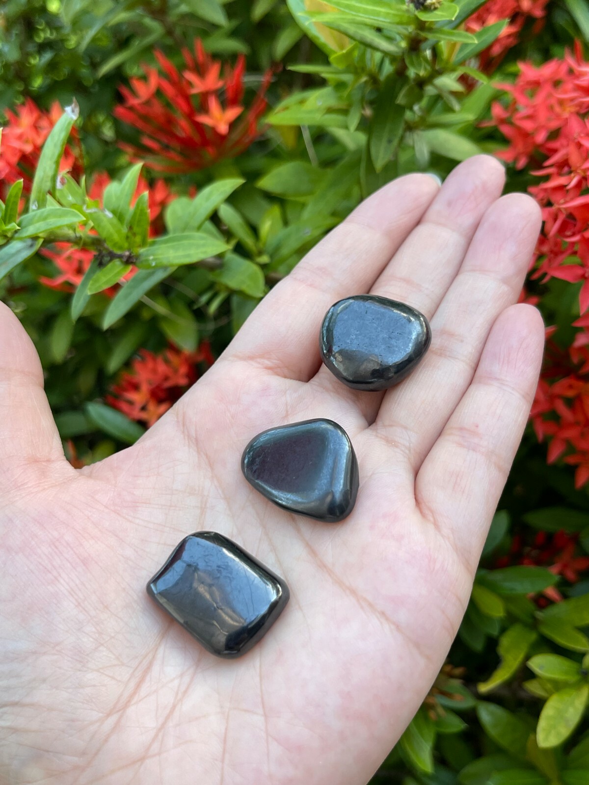 Grade A++ Shungite Tumbled Stone, 0.75-1.25″ Tumbled Shungite, EMF Protection