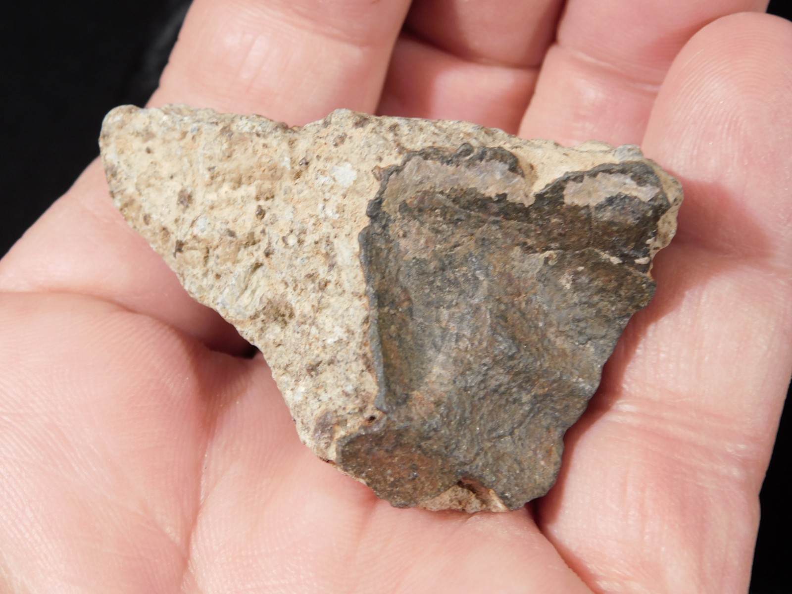 Classified NWA 8245 METEORITE Spots of Dark Fusion Crust! Erfoud, Morocco 55.4gr