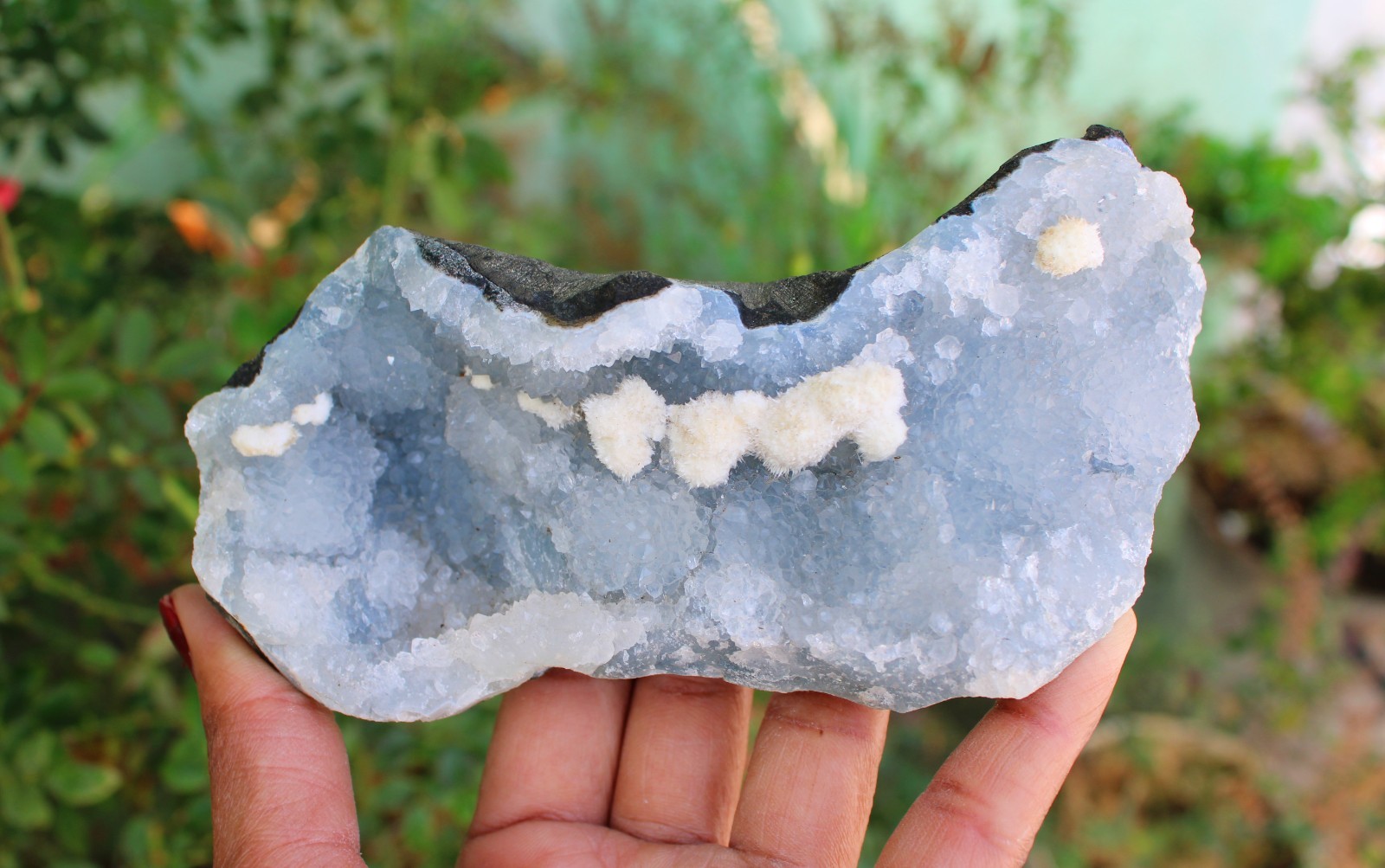 Okenite Balls On Blue Chalcedony Coral Matrix Minerals Specimen #O1