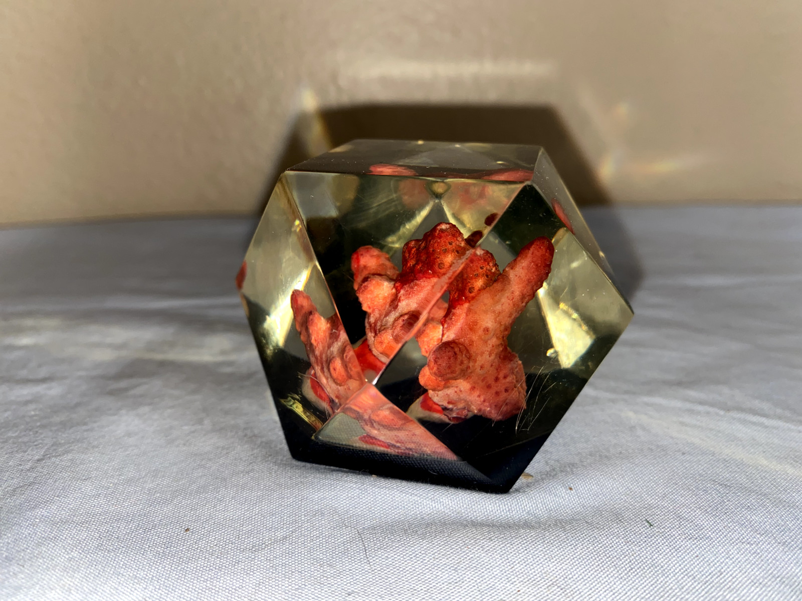 Vtg Lucite Resin 3D Hexagon Red Coral Art Paperweight Freeport (ToteGGG)