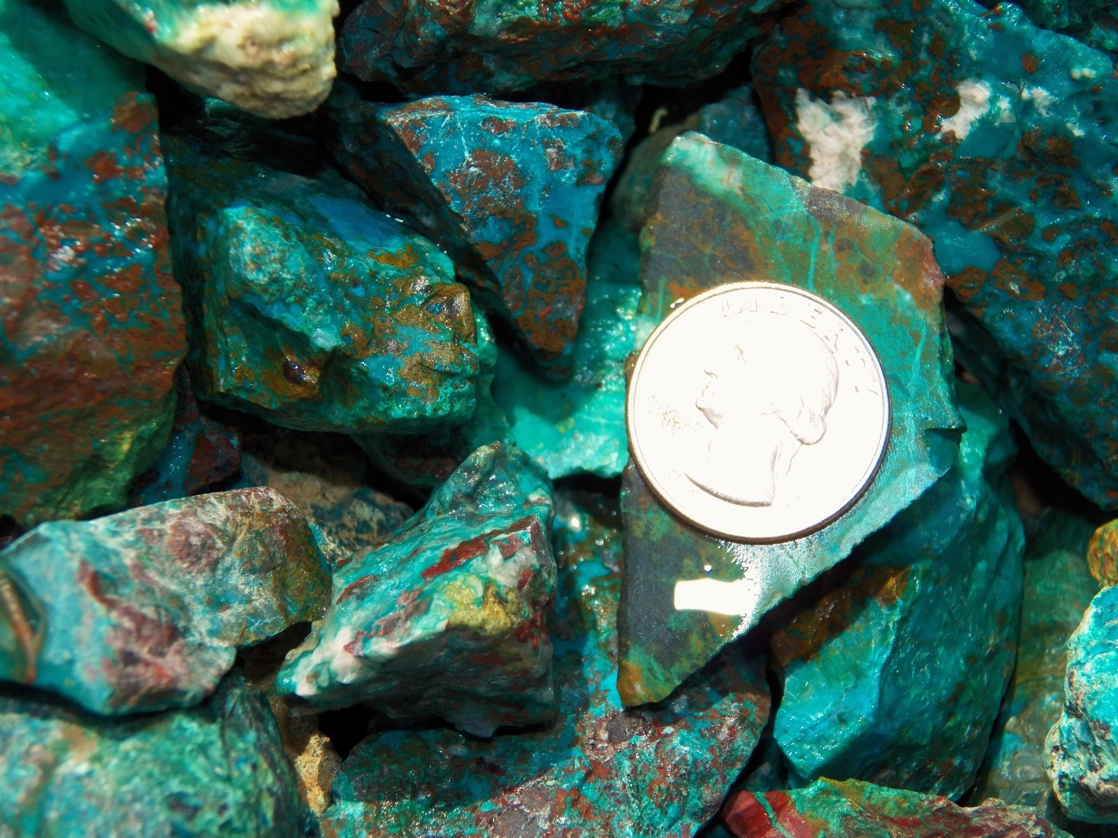 1000 Carat Lots of Chrysocolla & Turquoise Rough – Plus a FREE Faceted Gemstone
