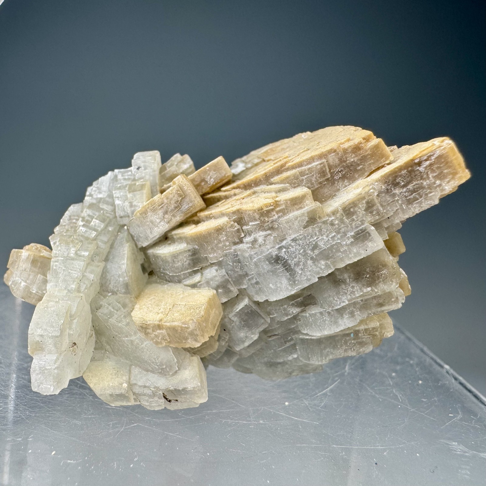 Fine Baryte Crystal Group: Paga No. 1 Mine, Cartersville, Georgia- Classic!!