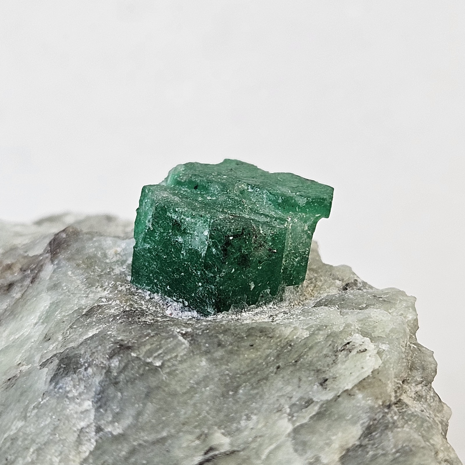 Large Fully Terminated Emerald Specimen On Quartzite Matrix U.S Seller Swat