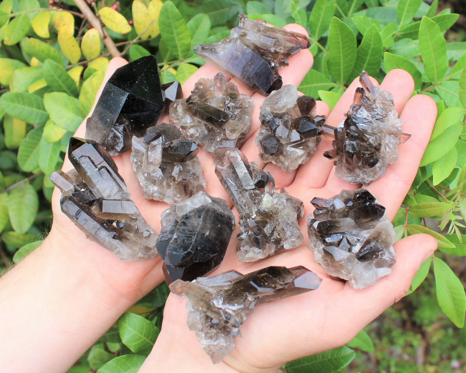 Smoky Quartz Crystal Clusters – Bulk Wholesale ‘A’ Grade High Quality Crystals
