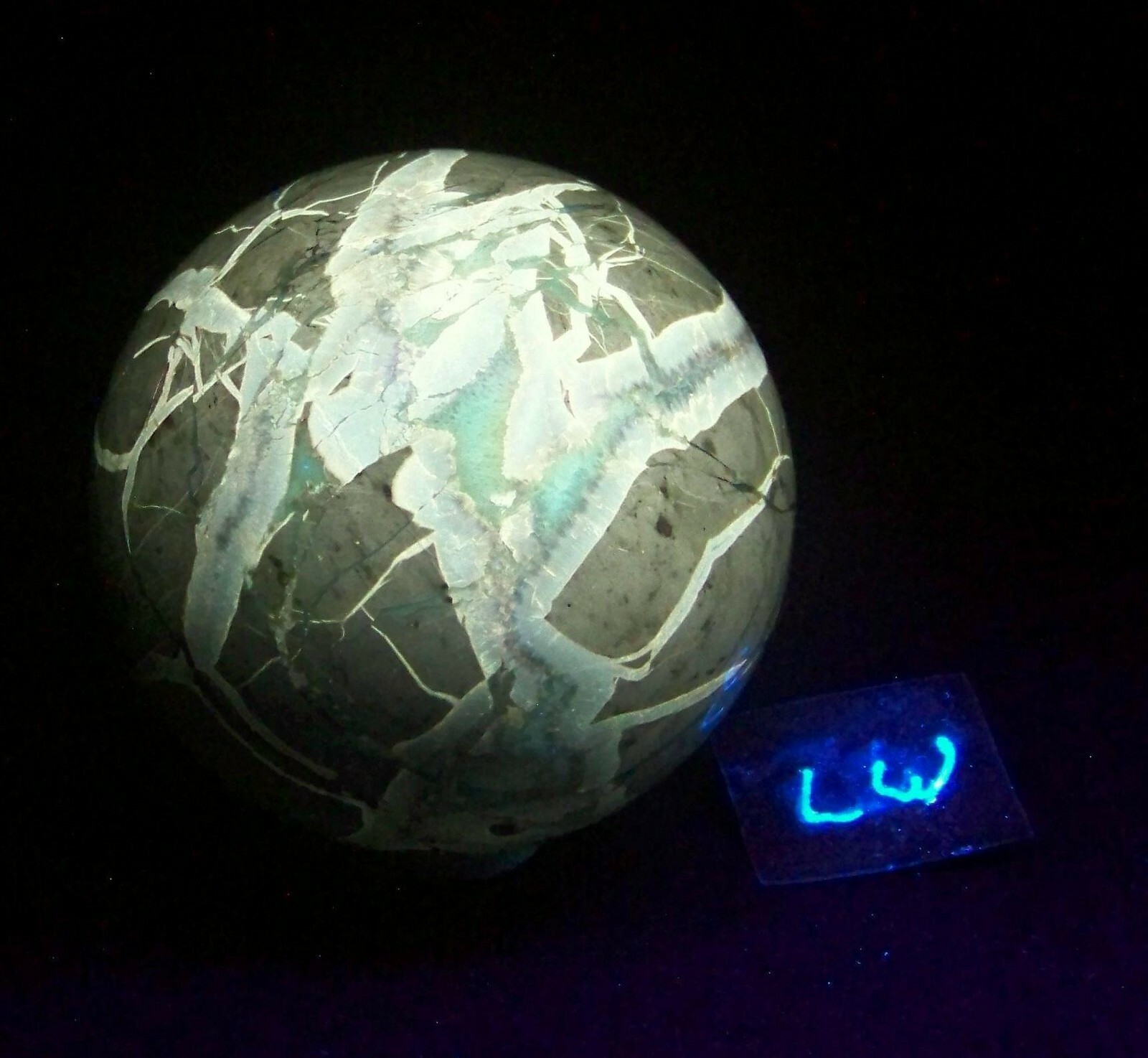 Fluorescent Septarian Nodule Sphere 76mm Collectible or Meditation Ball 4510