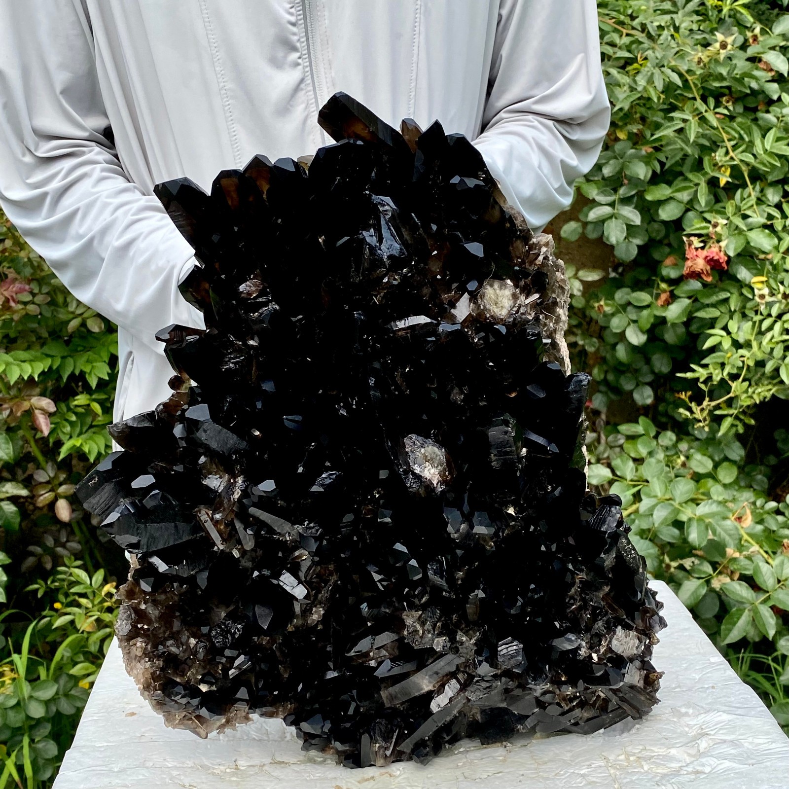 36.5LB New Find black PhantomQuartz Crystal Cluster Mineral Specimen