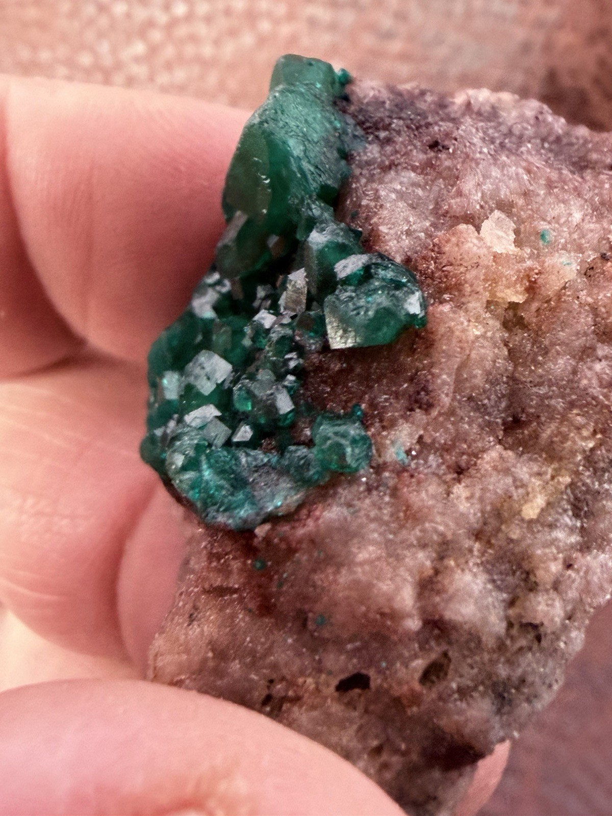 Emerald Green Dioptase Crystal Cluster from the Congo in Africa 22.6 g.