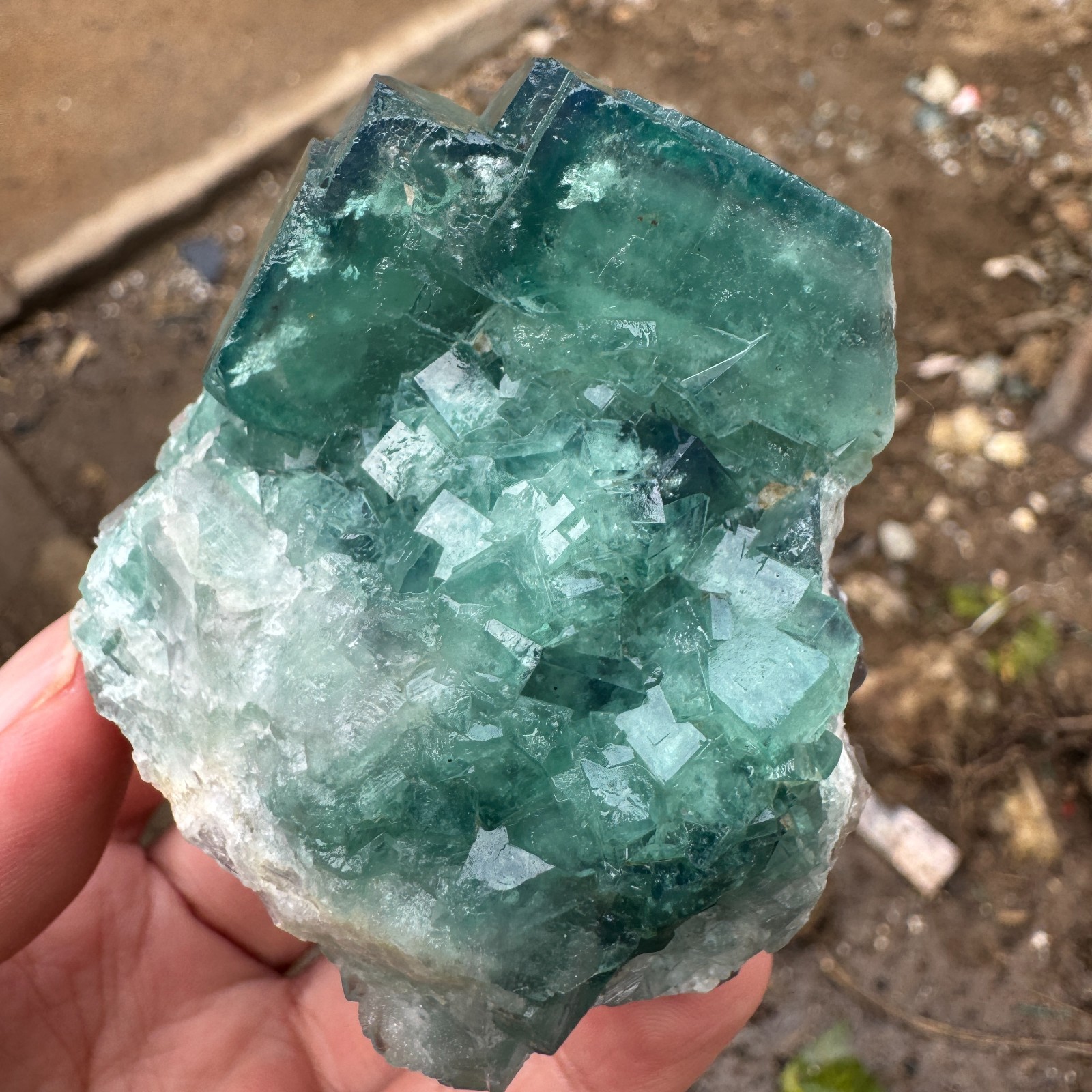 220G Natural cubic green fluorite crystal cluster rough mineral specimen Healing
