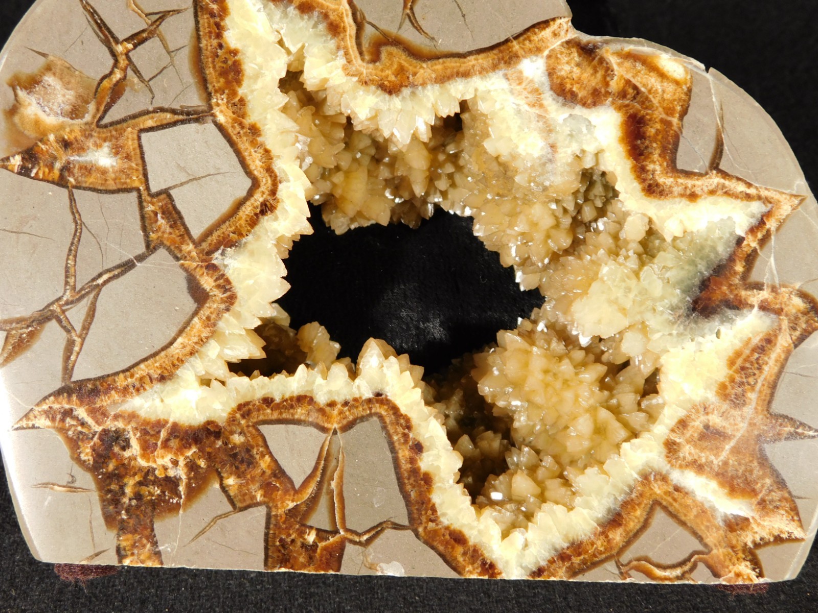 Big! Polished AAA Crystal Filled Hollow Septarian GEODE FREE Standing Utah 780gr