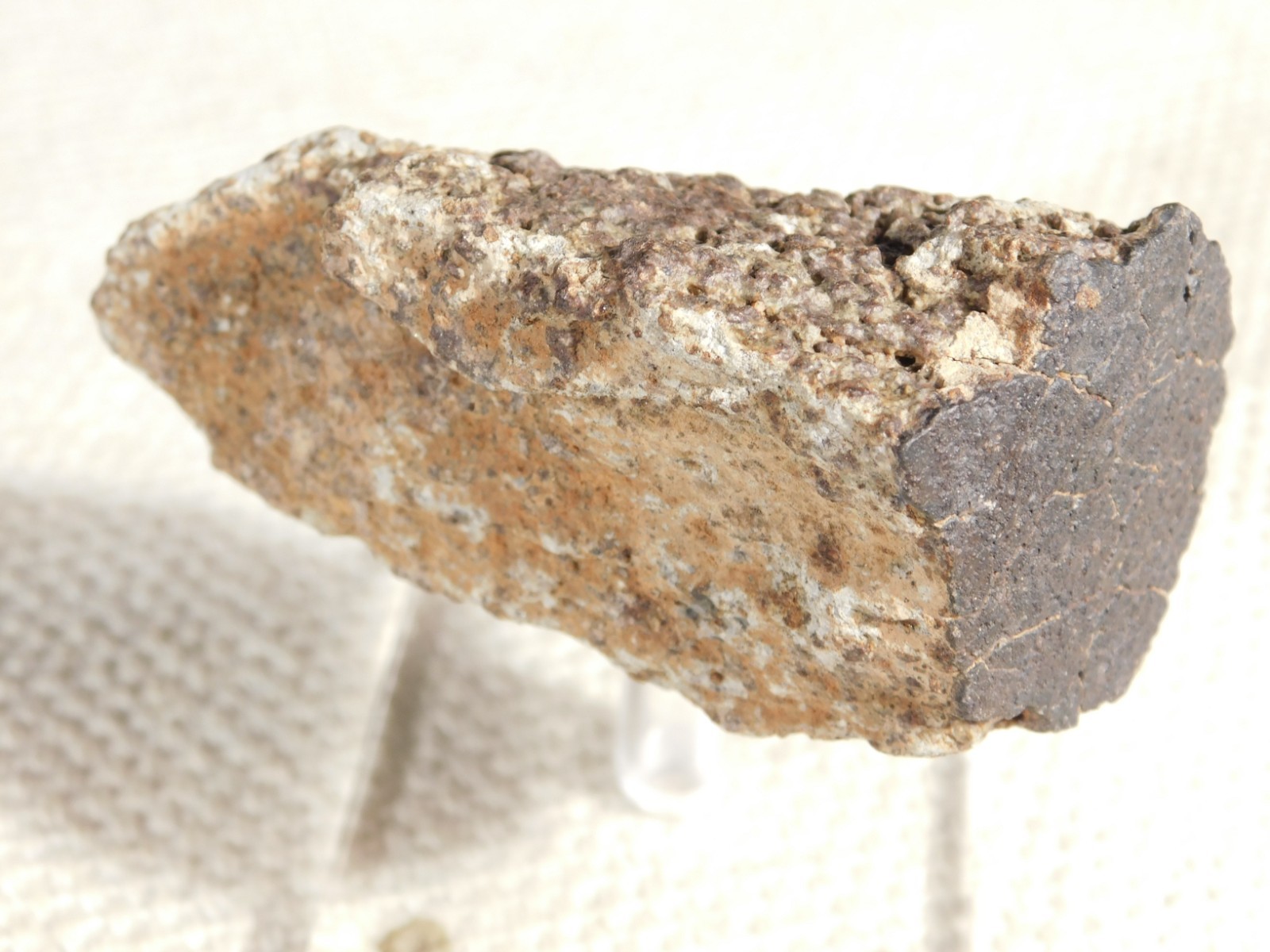 Classified NWA 8245 METEORITE Spots of Dark Fusion Crust! Erfoud, Morocco 136gr