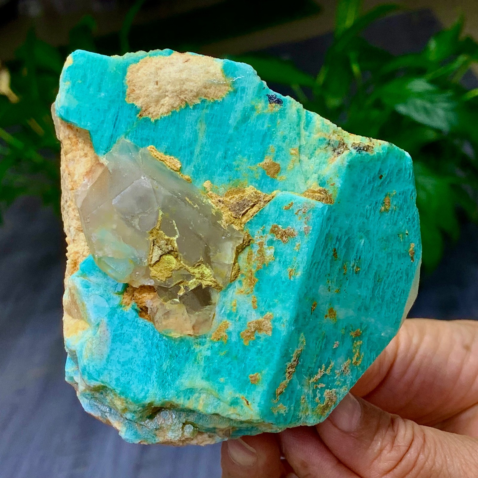 1.58LB Rare!! Natural beautiful Amazonite with Quartz Crystal Specimen Rough