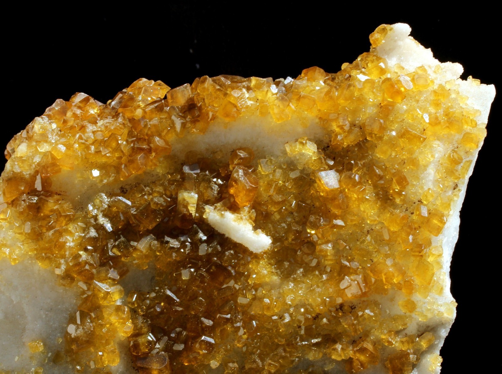 3.0Lbs Super Bright Golden Barite Crystals on White Quartz Mineral Specimen!