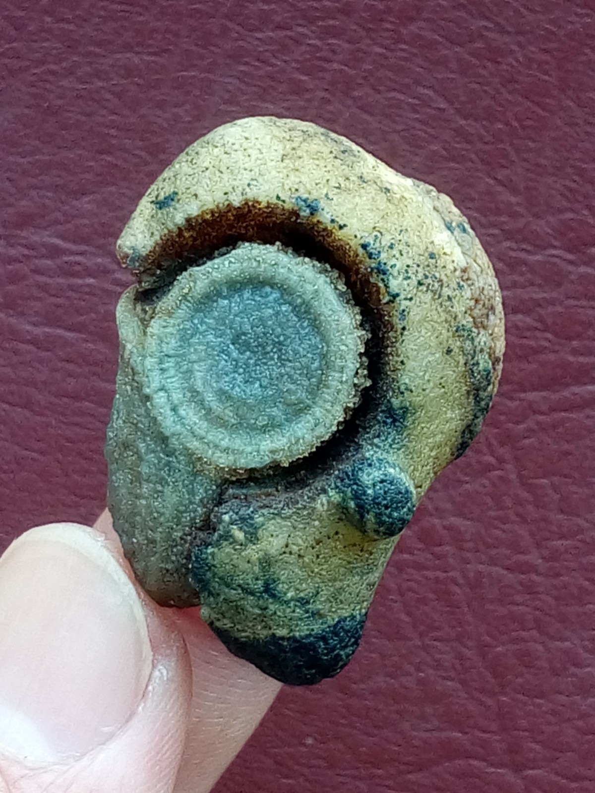 36mm Natural Gobi agate eye agate stone cute collection