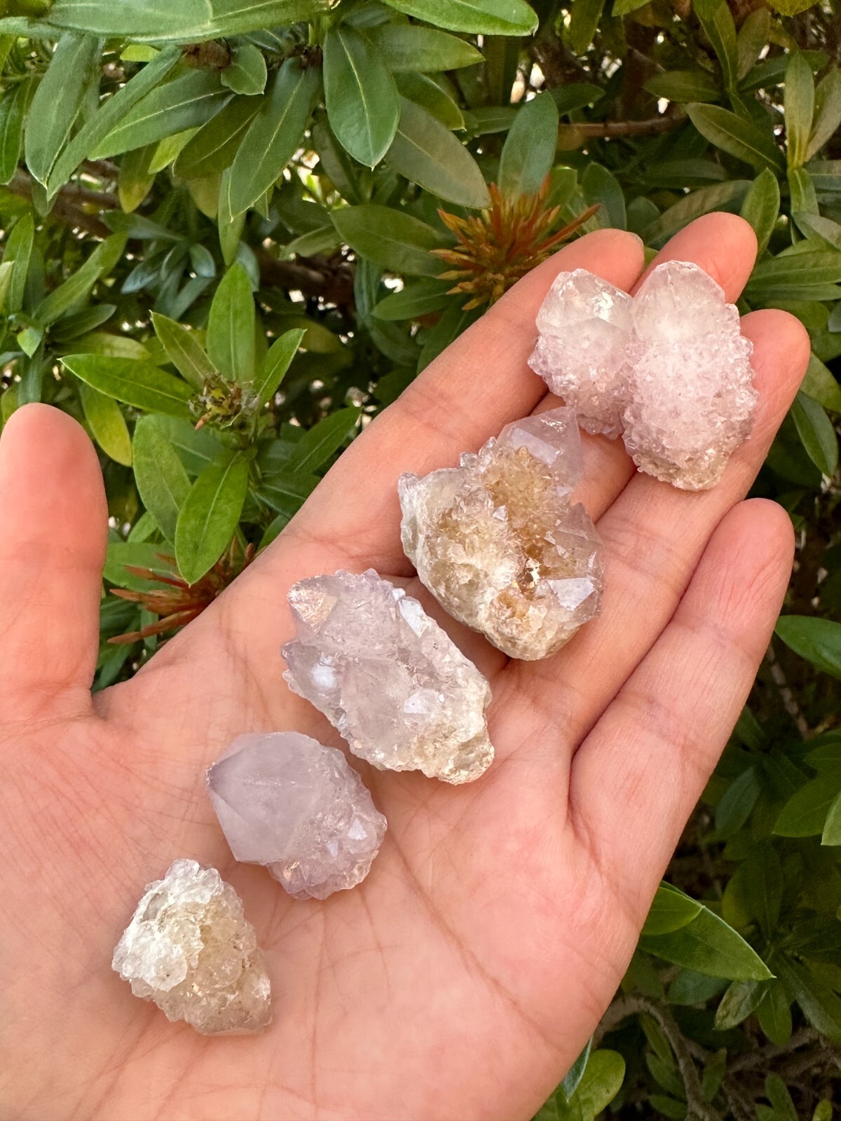 Spirit Quartz Clusters Crystal Collection Box: 6 – 7 oz Box Lot, 11 – 14 Pieces