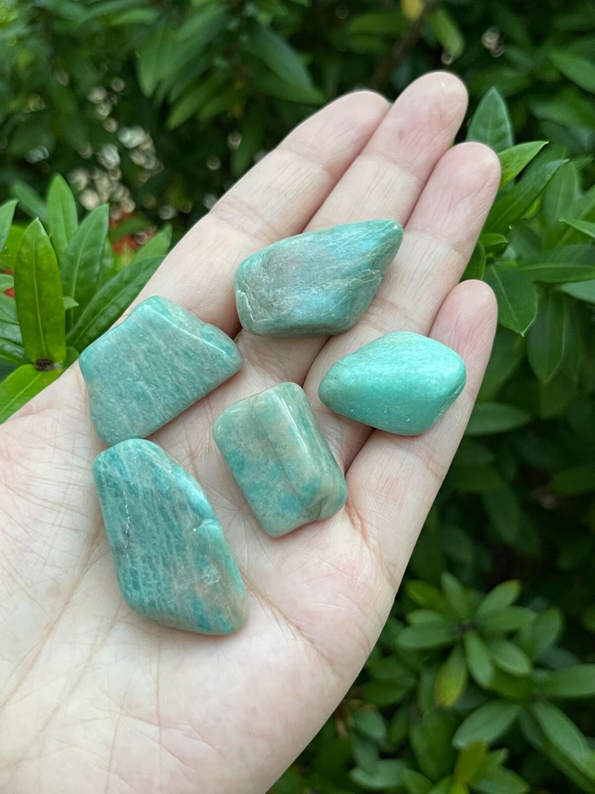 Grade A++Amazonite Tumbled Stones, 0.8″-1.25″ Polished Amazonite, Wholesale Lots