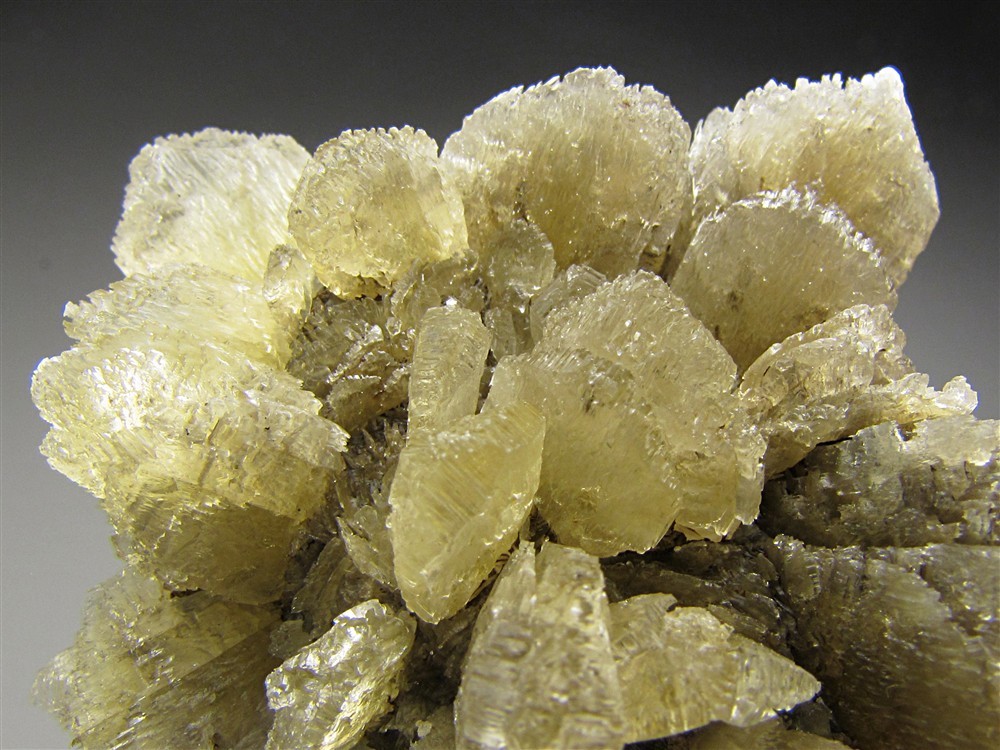 Selenite, Vienna, Austria