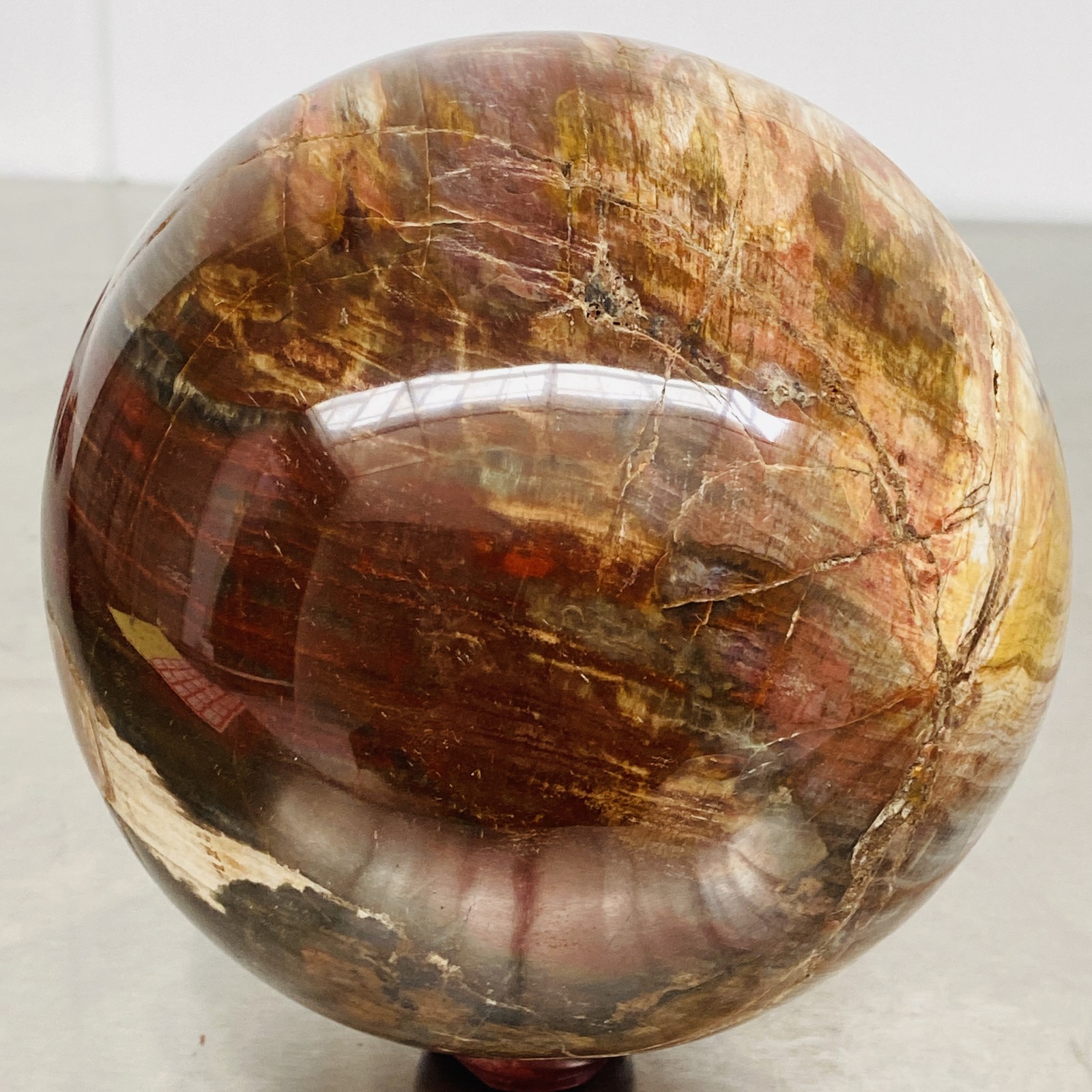 Natural Petrified Wood Polished Stone Quartz Crystal Sphere Ball Healing 3720G