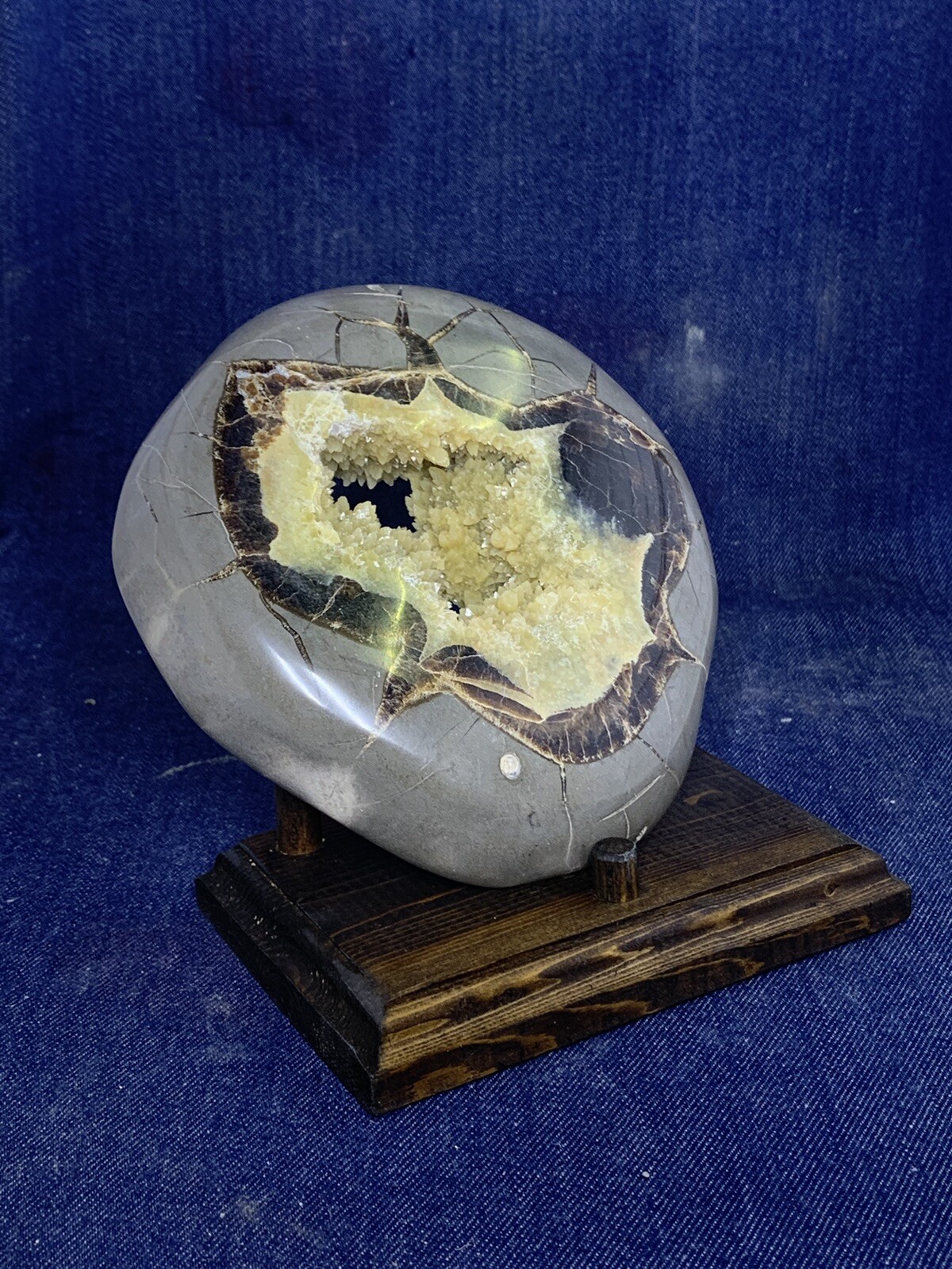 Septarian Nodule Hollow Slab ( Utah)with Stand And Description Card