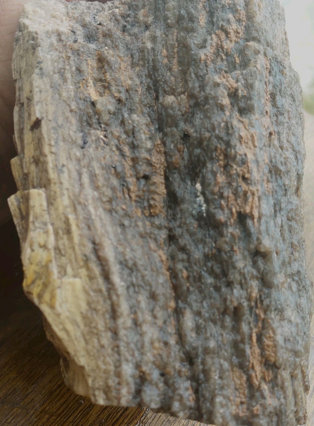 Petrified Wood 4lbs 9.5oz Limb Quartz Replaced Bark UV+ Henry Mountains UT Displ