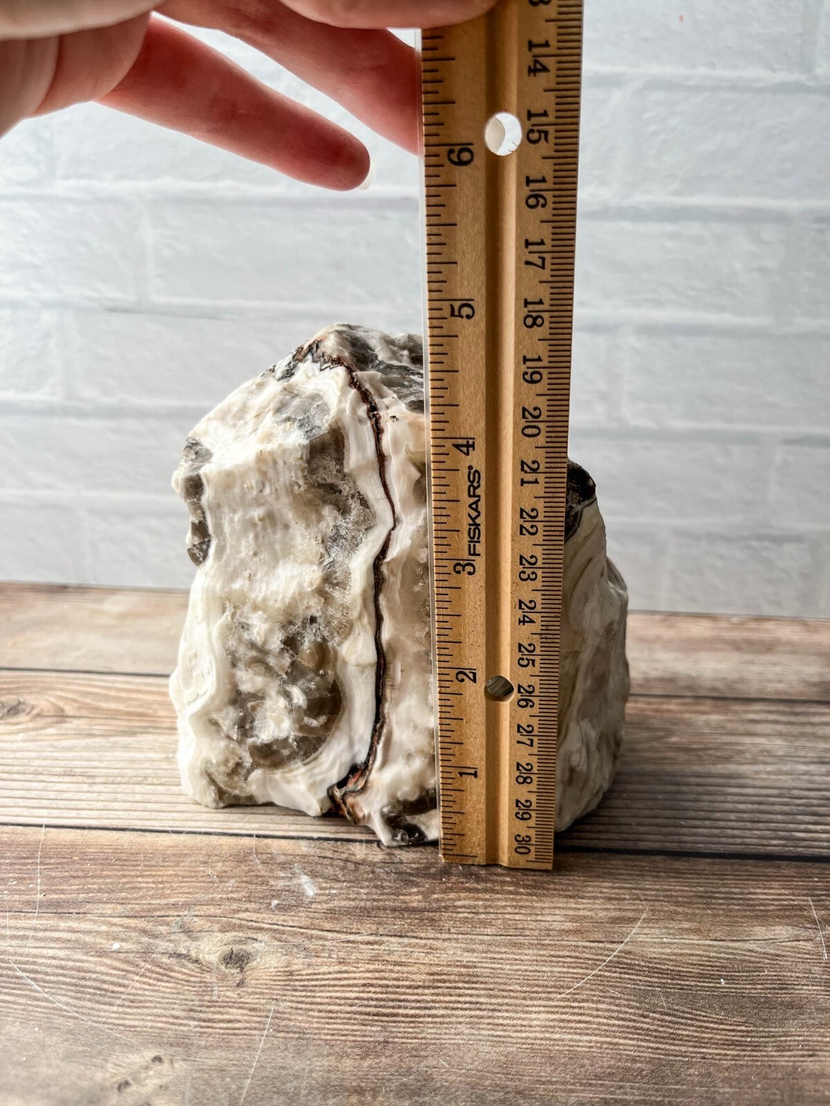 Zebra Calcite , 4 lb 8.6oz Mexican Raw Rough