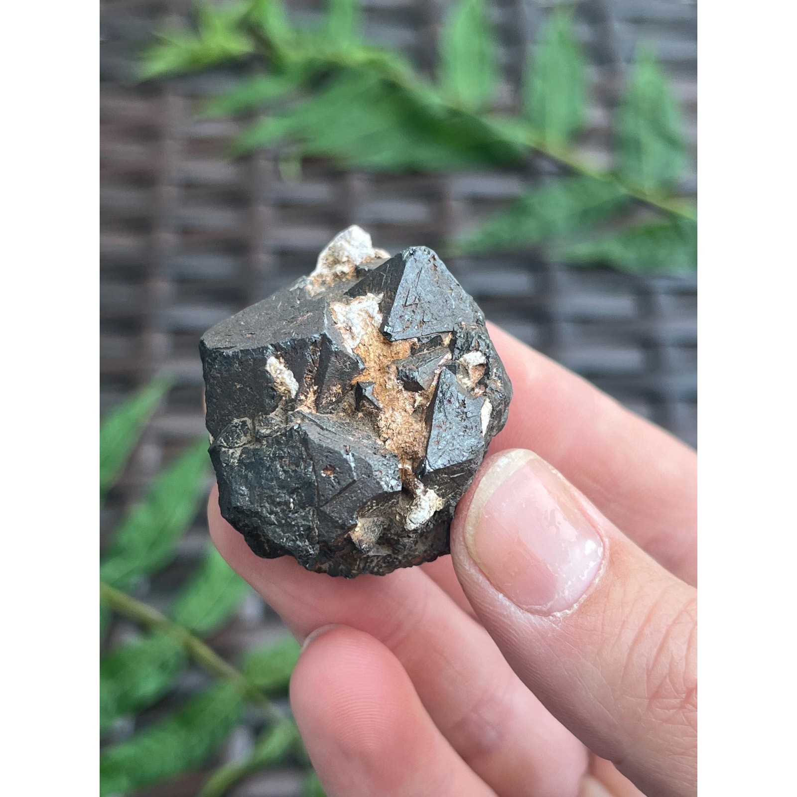 Raw Octahedral Magnetite Crystal Cluster from Utah | Natural Magnetite Specimen