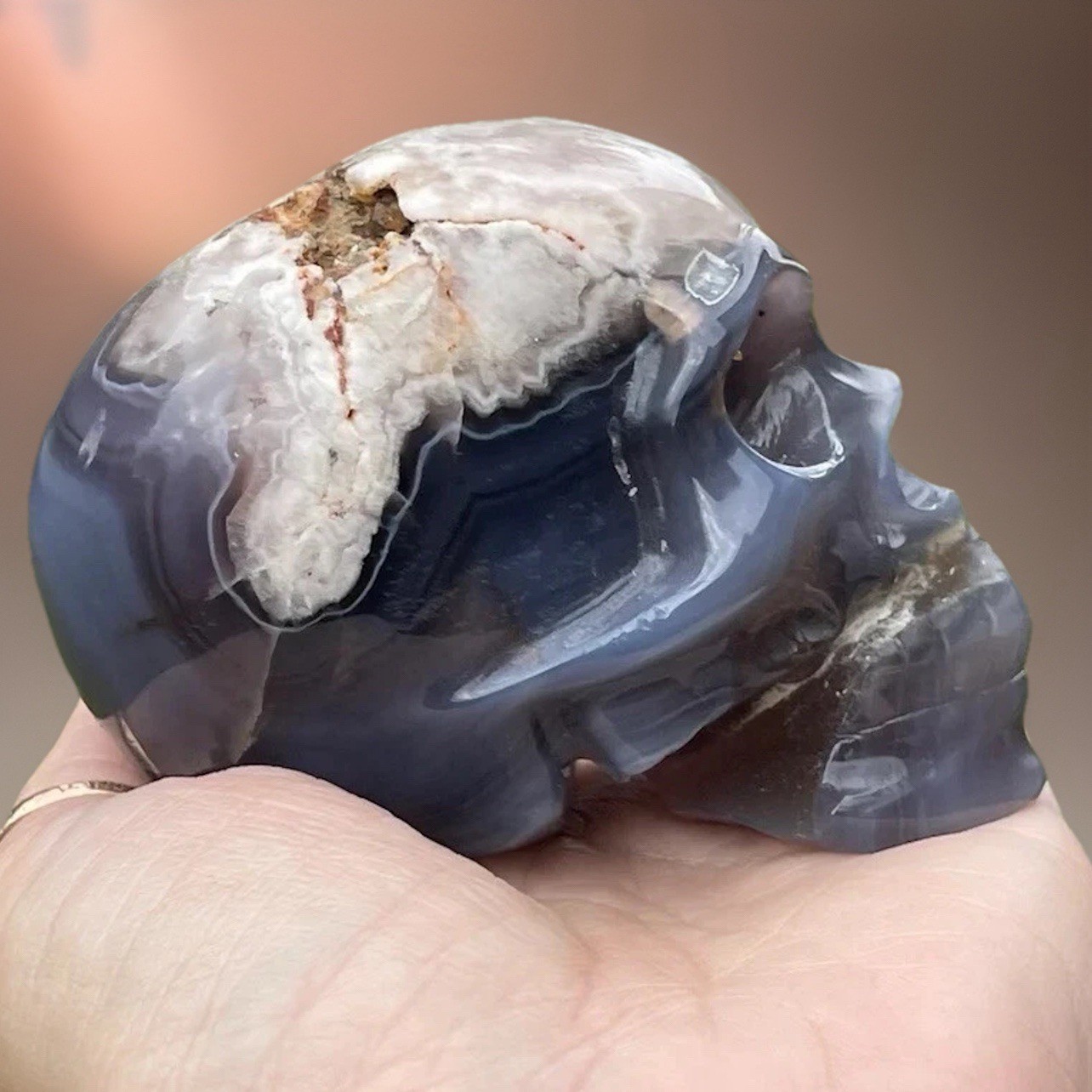 Natural Black Flower Agate W/Pink Amethyst Large Crystal Skull Gothic Home Decor