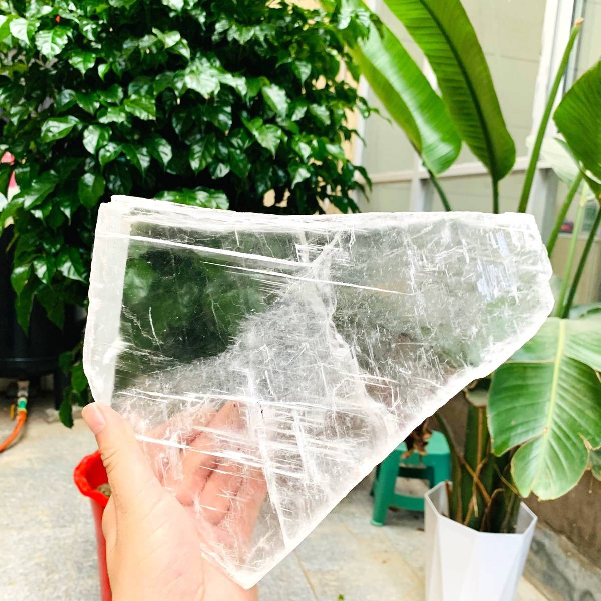 3.59LB Natural Clear Transparent Selenite Slab Gypsum Crystal Mineral Specimen