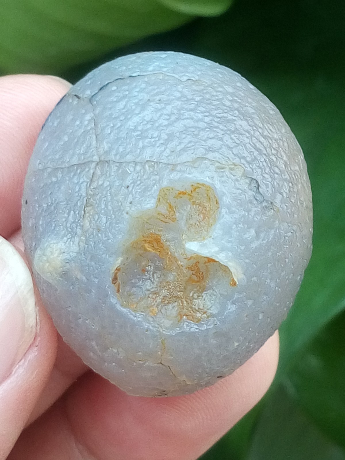 36mm Beautiful Natural Gobi agate eye agate stone collection