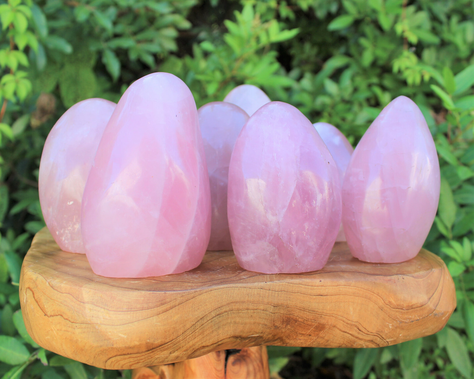 LARGE Polished Rose Quartz Freeform: Cut Base Free Standing Display Specimens