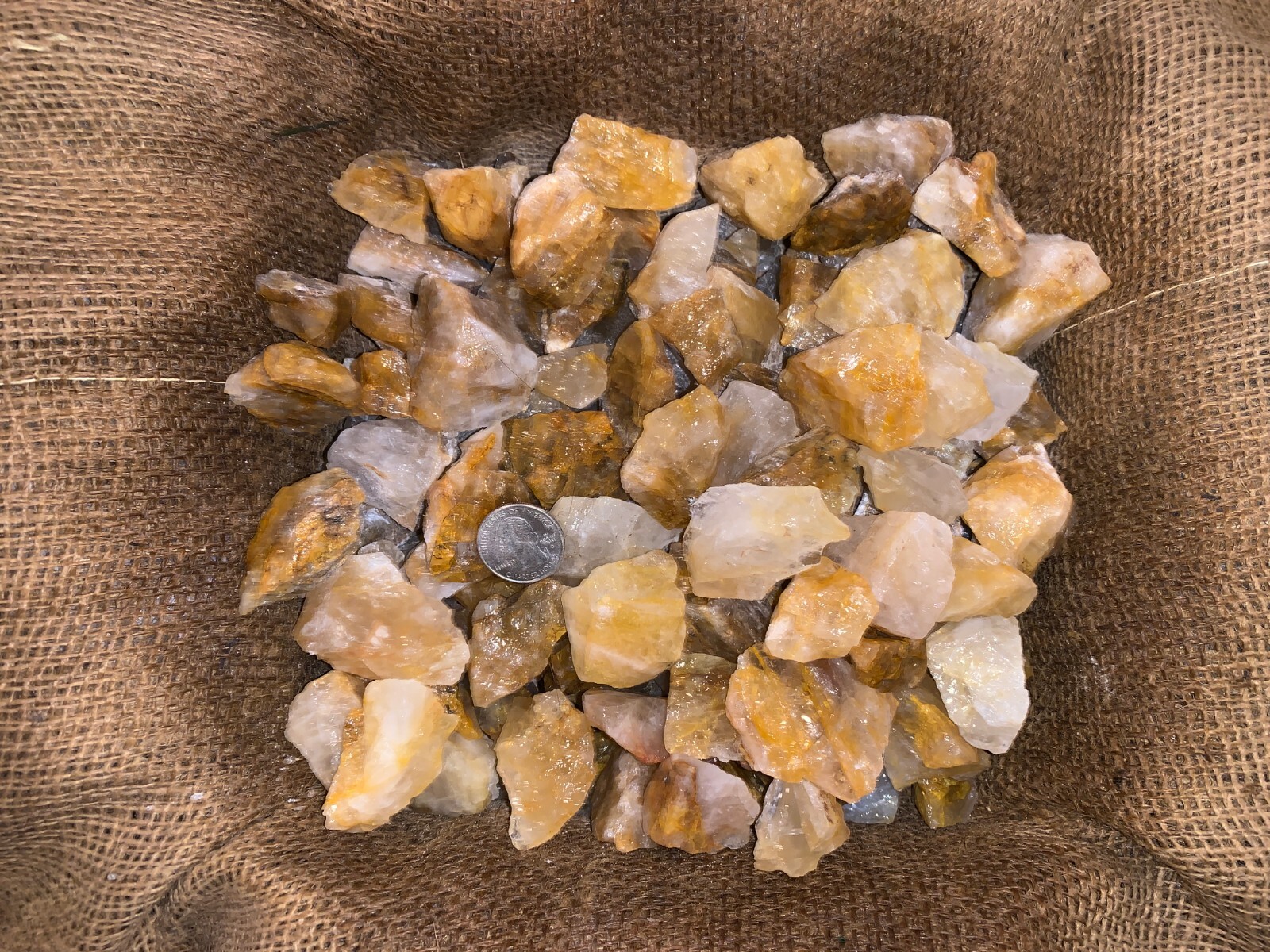 500 Carat Lots of Citrine Rough Plus a FREE Faceted Gemstone!